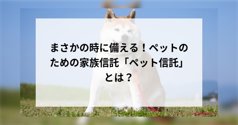 まさかの時に備える！ペットのための家族信託「ペット信託」とは？